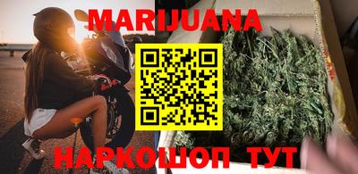 индика Ижевск