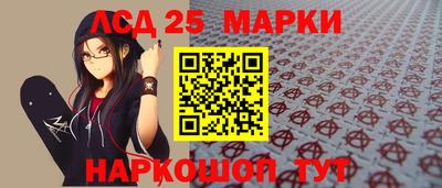 гидропоника Будённовск