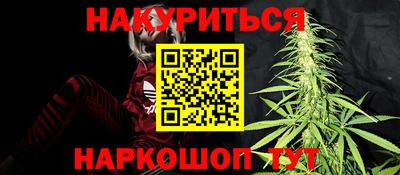 гидропоника Будённовск