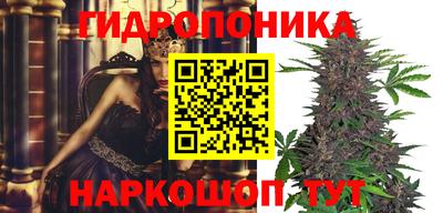 гидропоника Будённовск