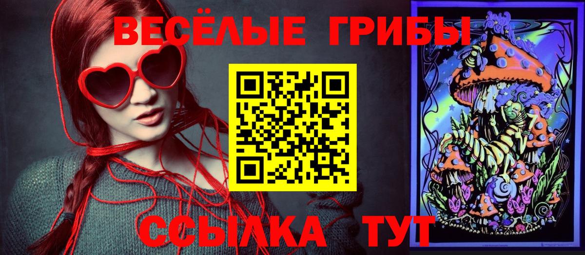 Псилоцибиновые грибы мухоморы Котельники